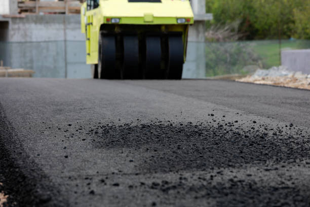 Best Professional Driveway Pavers  in Wolfe City, TX