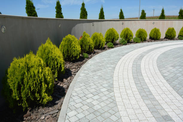 Best Cobblestone Driveway Pavers  in Wolfe City, TX